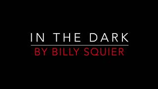 BILLY SQUIER  IN THE DARK 1981 LYRICS [upl. by Ydnis]