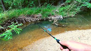 Action Packed Small Creek Fishing [upl. by Suiddaht]