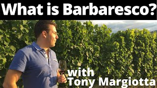 What Is Barbaresco Wine [upl. by Dugas363]