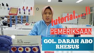 PEMERIKSAAN GOLONGAN DARAH ABO [upl. by Arlina]