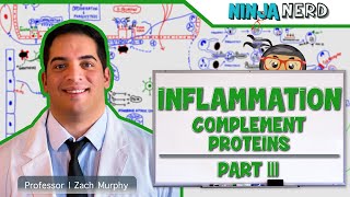 Immunology  Inflammation Complement Proteins Part 3 [upl. by Nivri]