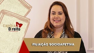 Explica Direito Filiação Socioafetiva  2019 [upl. by Beverlie]