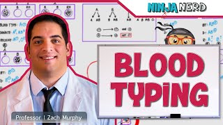 Hematology  Blood Typing [upl. by Ursas]