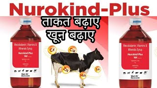 Nurokind Plus Vet Liquid Vet Mankind Review uses and benefit composition dosage nuropethic medicin [upl. by Legir]