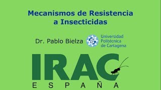 Mecanismos de resistencia a insecticidas [upl. by Honeywell]