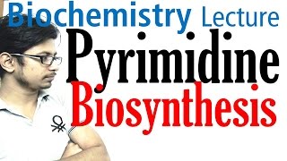 Pyrimidine biosynthesis [upl. by Strep]