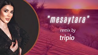 Lamis Kan  Mesaytara  Remix  EDM [upl. by Pelage]