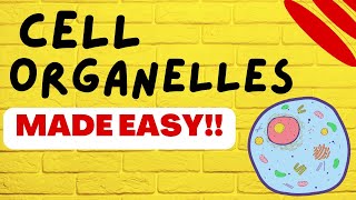 Cell Biology Cell Organelles explained in 5 minutes [upl. by Rhodes712]