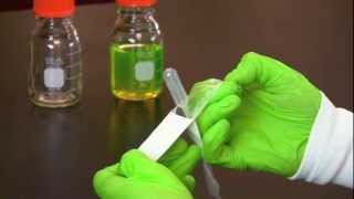 Using a Transfer Pipet [upl. by Hilary814]