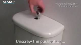 Plumbing Help Changing a Toilet Push Button [upl. by Asseram794]