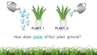 The Scientific Method Part 2 Variables and Hypothesis [upl. by Elacim244]