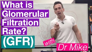 Glomerular Filtration Rate GFR  Renal System [upl. by Eelyah]