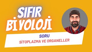 SORU ÇÖZÜMÜ Organeller Sıfır Biyoloji  Dr Biyoloji [upl. by Roslyn]