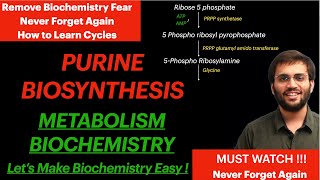 Purine Synthesis  Biochemistry  Purine Metabolism Video [upl. by Clemence888]