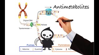 Pharmacology  CANCER DRUGS  ANTIMETABOLITES MADE EASY [upl. by Letnahc]