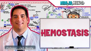 Hematology  Hemostasis Coagulation Cascade [upl. by Anitsyrhk227]