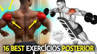 16 Melhores Exercícios Para Treinar Posterior de Ombros [upl. by Lillywhite13]