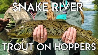 Epic Snake River Hopper Fishing [upl. by Apollo432]