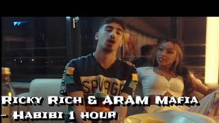 Ricky Rich amp ARAM Mafia  Habibi 1 hour [upl. by Arratal859]