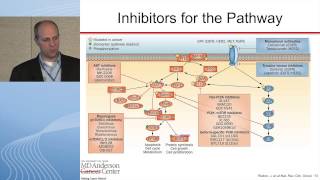 Targeting the PI3KAktmTOR Pathway [upl. by Atiuqrahs514]