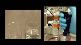 How to Use a Pipette [upl. by Roon]