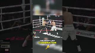 Naoya Inoue vs Yee Joon Kim  Knockout Highlights [upl. by Aip]