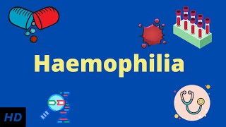 Haemophilia Causes SIgns and Symptoms Diagnosis and Treatment [upl. by Royal]