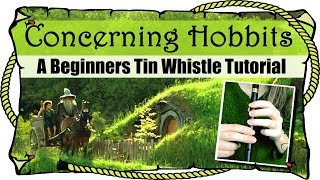 Lord Of The Rings  Concerning Hobbits  BEGINNERS TIN WHISTLE TUTORIAL [upl. by Enelyaj]