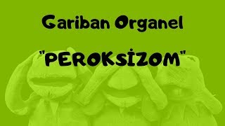 Gariban Organel Peroksizom [upl. by Narton]