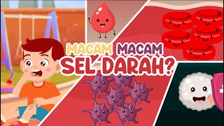 Macam Macam Sel Darah pada Manusia [upl. by Kroo]