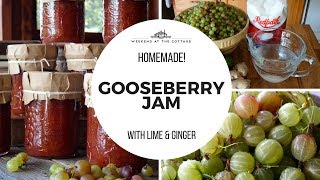 HOMEMADE GOOSEBERRY JAM  Delicious amp Flavourful [upl. by Gnaoh599]