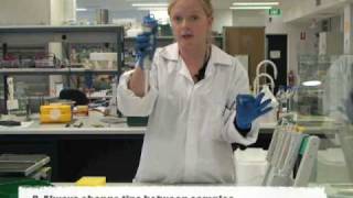 Using a singlechannel pipette [upl. by Phyllida451]