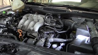 VW Engine Noise Diagnosis BONUS VIDEO [upl. by Akirej]